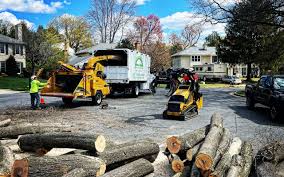 How Our Tree Care Process Works  in  Idalou, TX