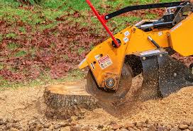 Best Storm Damage Tree Cleanup  in Idalou, TX