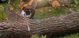 Best Lawn Watering Services  in Idalou, TX