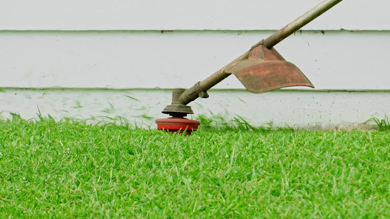 Best Lawn Drainage Solutions  in Idalou, TX