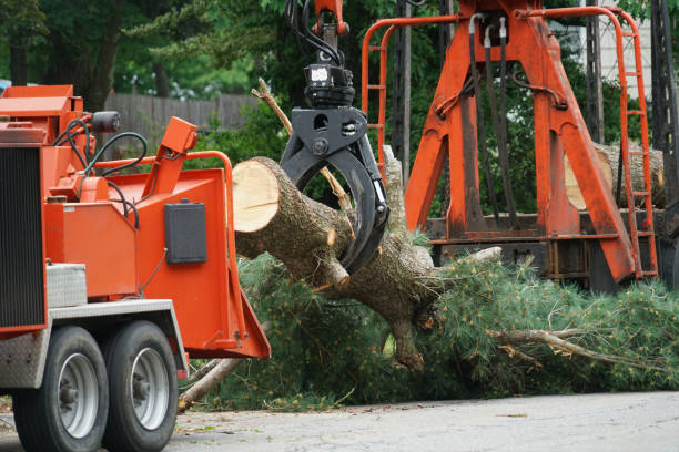 Best Utility Line Clearance  in Idalou, TX