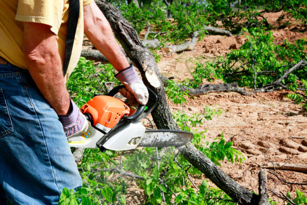 Best Aeration Services  in Idalou, TX